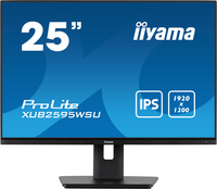 Iiyama 1
