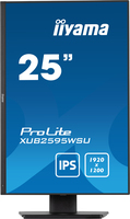 Iiyama 2