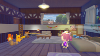 Nintendo Switch 2 + Pokemon Pokopia 8