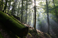 - 2
