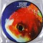 Vince Staples - ImportCDs Big Fish Theory Vinyl R&B 