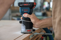 Bosch 17