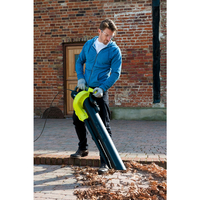 Ryobi 3