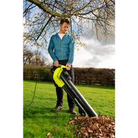 Ryobi 4